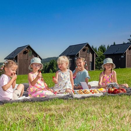 Polana Piorun Domki Wakacyjne W Beskidach Krynica Zdroj Buitenkant foto