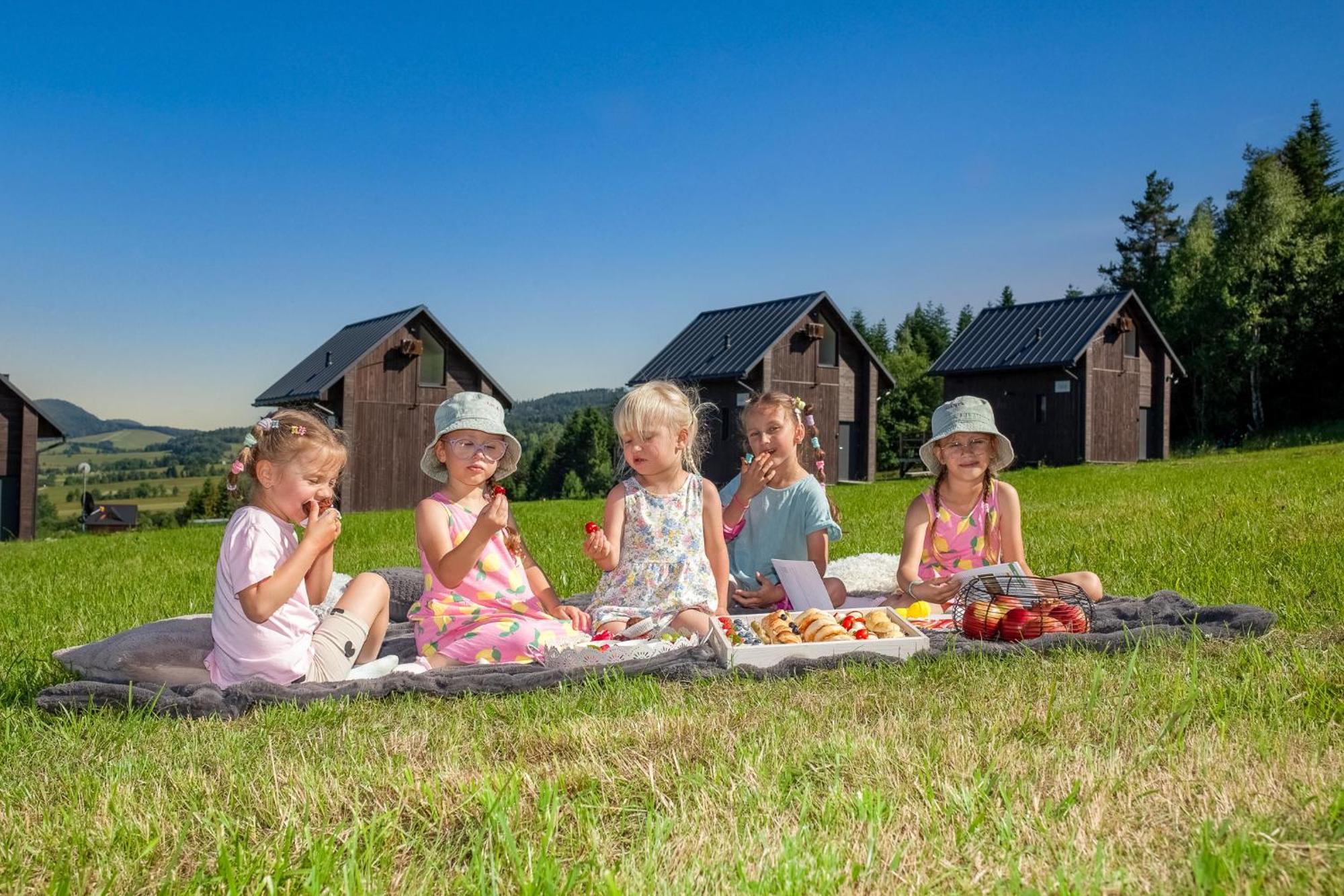 Polana Piorun Domki Wakacyjne W Beskidach Krynica Zdroj Buitenkant foto