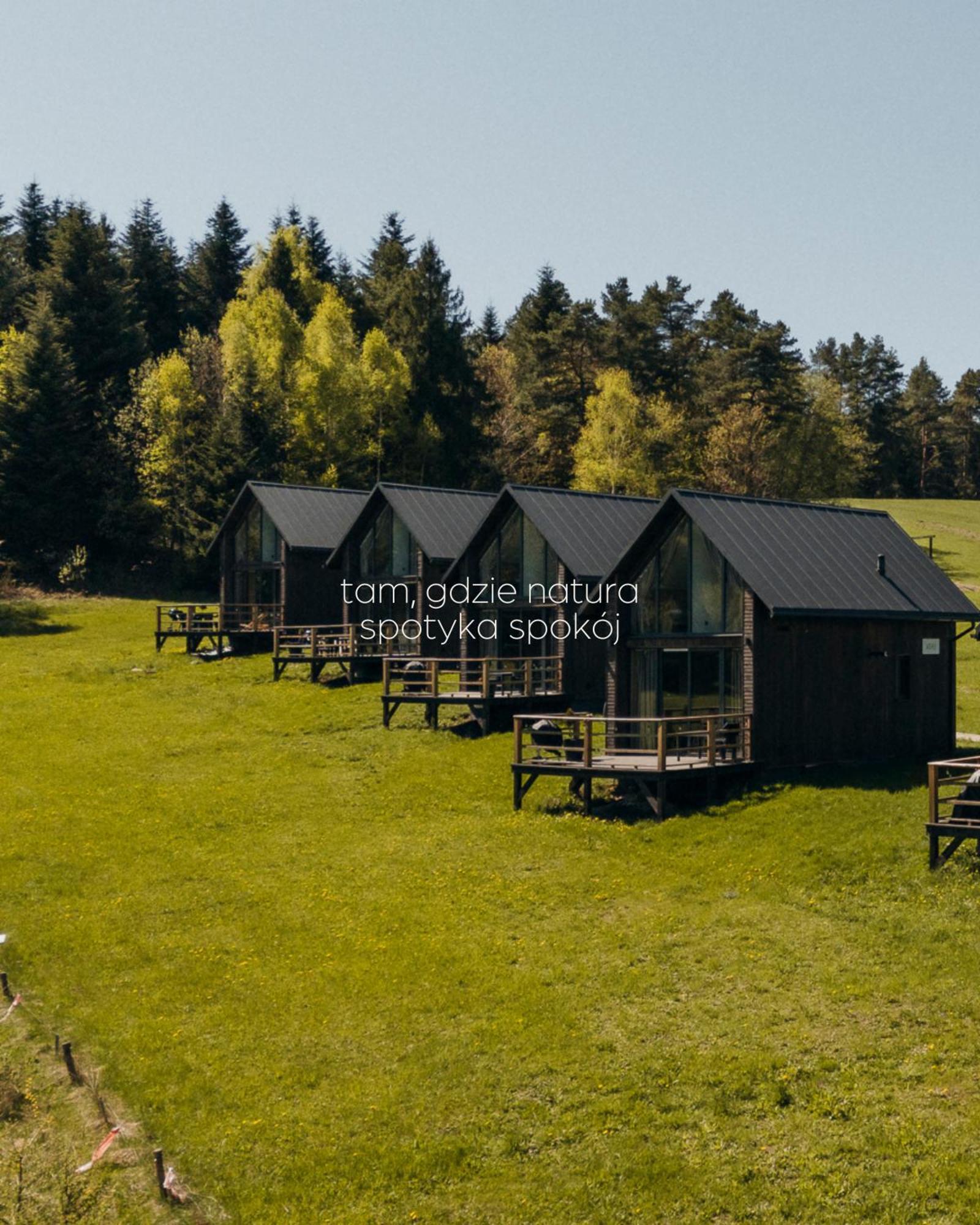 Polana Piorun Domki Wakacyjne W Beskidach Krynica Zdroj Buitenkant foto